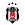 Beşiktaş JK Istanbul
